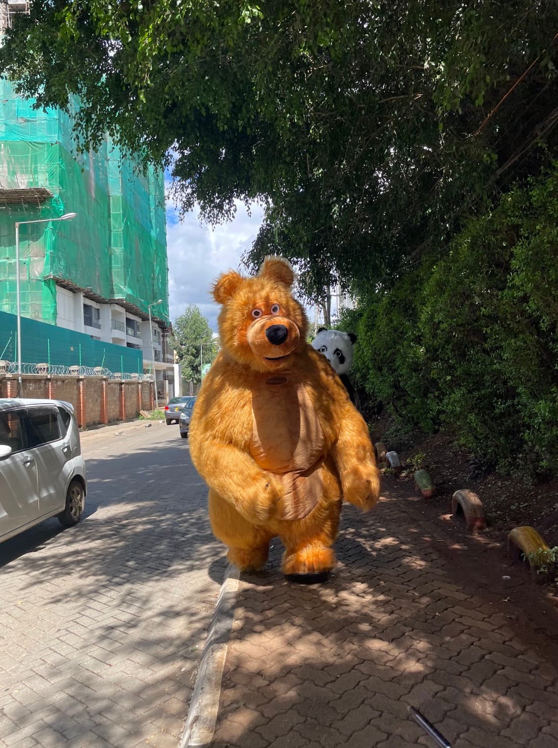 Buju - Brown Bear mascot